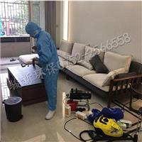 守護健康呼吸 辦公室甲醛治理與室內環境整體優化策略